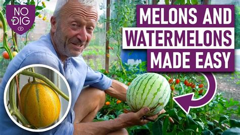 melons tube Search